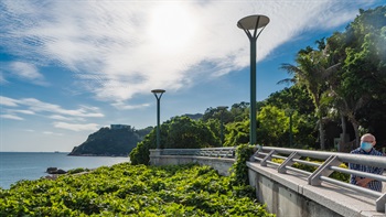 沿着海岸线滋蔓的植物，令长廊别显天然生趣。